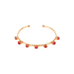 IYV RED